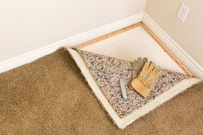 Carpet Replacement